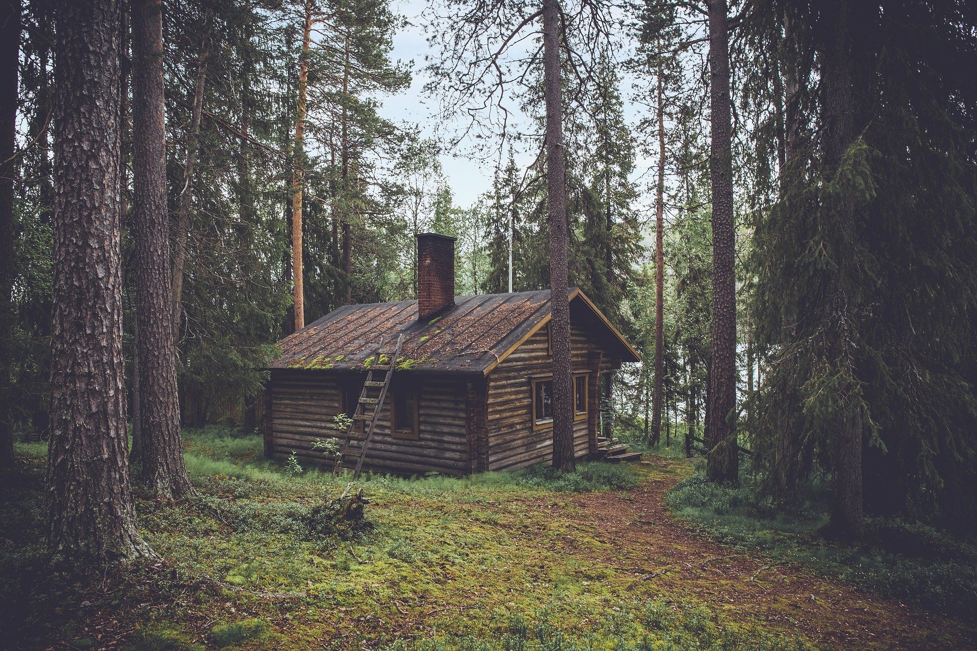 Hütte im Wald