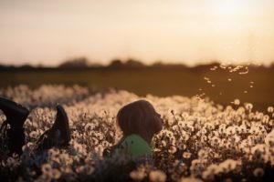 Ausbildungs-Inhalte und -methoden Kind im Feld