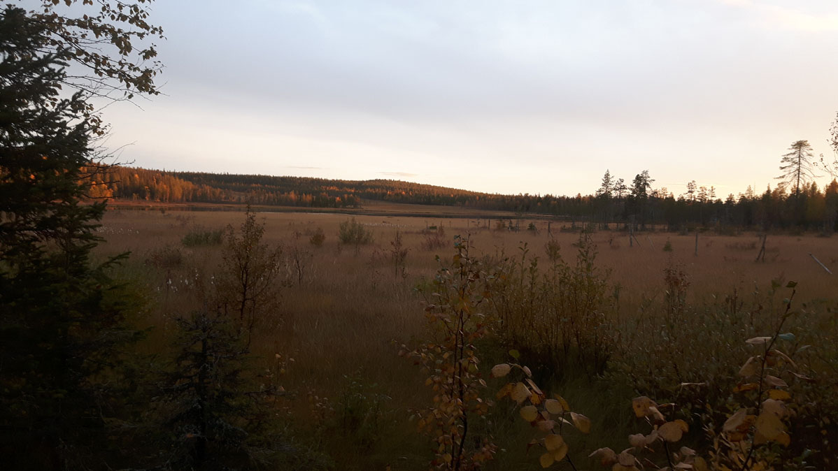 Berglandschaft UKK Nationalpark