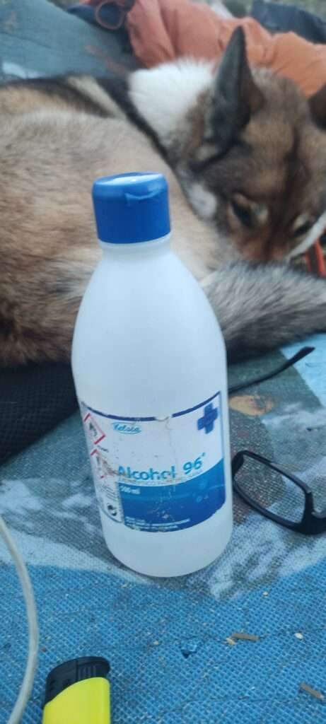 Flasche Spiritus